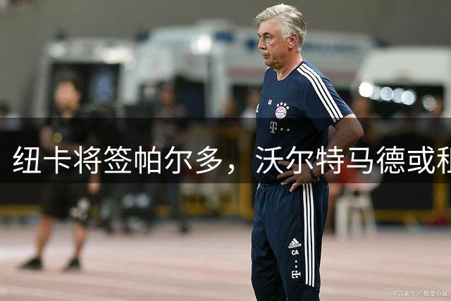 纽卡将签帕尔多，沃尔特马德或租借尤文